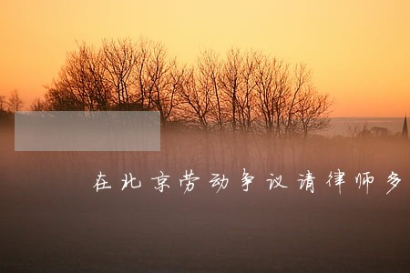 在北京劳动争议请律师多少钱