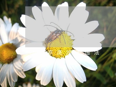 在北京洗沙子违法 在北京洗沙子违法