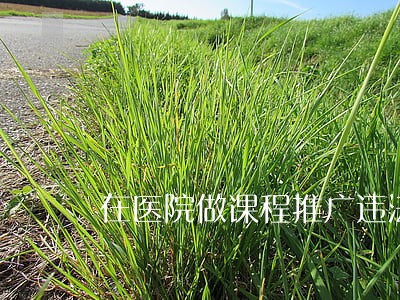 在医院做课程推广违法吗 在医院做课程推广违法吗