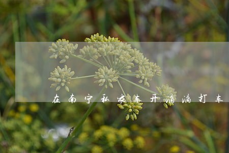 在南宁私家车开滴滴打车违法 在南宁私家车开滴滴打车违法