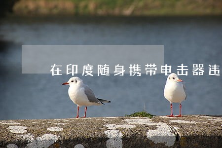 在印度随身携带电击器违法吗 在印度随身携带电击器违法吗