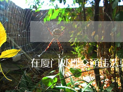 在厦门处理交通违法更方便了 在厦门处理交通违法更方便了