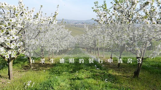 在发生逾期的银行申请房贷