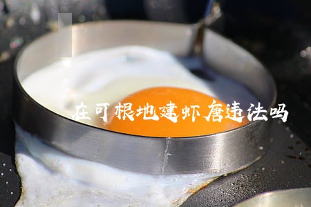 在可根地建虾唐违法吗 在可根地建虾唐违法吗