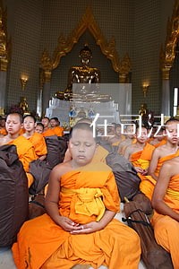 在司法改革的的 在司法改革的的