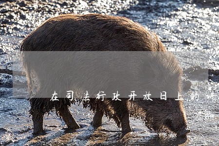 在司法行政开放日上的讲话