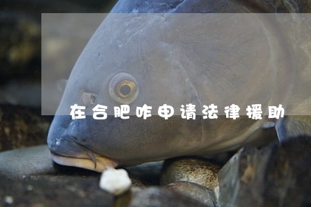 在合肥咋申请法律援助 在合肥咋申请法律援助