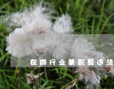 在同行业兼职算违法吗