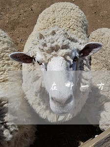 在哪一方法院起诉 在哪一方法院起诉