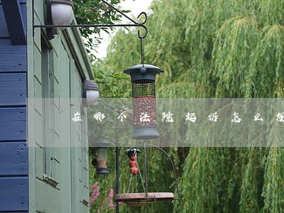 在哪个法院起诉怎么规定的 在哪个法院起诉怎么规定的