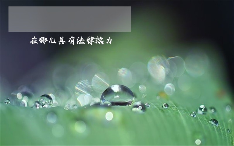 在哪儿具有法律效力 在哪儿具有法律效力
