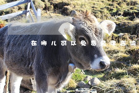 在哪儿可以免费法律咨询 在哪儿可以免费法律咨询