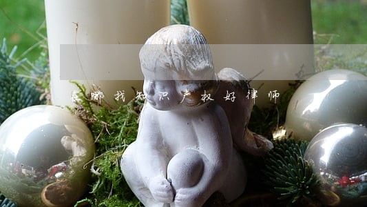 在哪找知识产权好律师 在哪找知识产权好律师