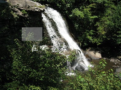 在哪查专利 在哪查专利