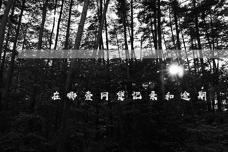 在哪查网贷记录和逾期 在哪查网贷记录和逾期