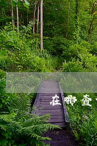 在哪查询信用逾期时间 在哪查询信用逾期时间