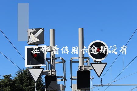 在哪看信用卡逾期没有 在哪看信用卡逾期没有