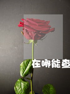 在哪能查信用卡有没有逾期 在哪能查信用卡有没有逾期