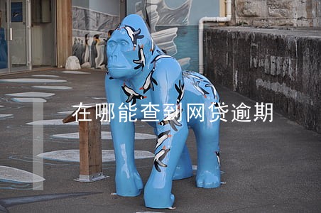 在哪能查到网贷逾期 在哪能查到网贷逾期