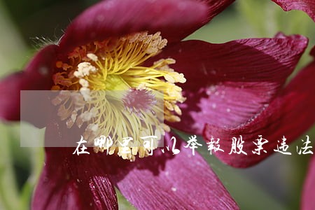 在哪里可以举报股票违法荐股 在哪里可以举报股票违法荐股