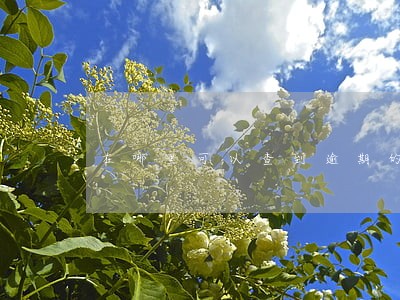 在哪里可以查到逾期的贷款 在哪里可以查到逾期的贷款