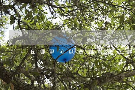 在哪里可以查到驾驶证违法扣留地 在哪里可以查到驾驶证违法扣留地