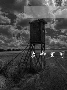 在哪里可以看到信用卡逾期 在哪里可以看到信用卡逾期