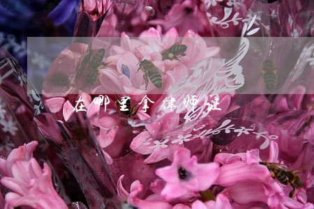 在哪里拿律师证 在哪里拿律师证