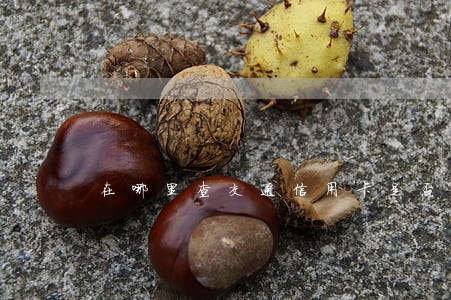 在哪里查交通信用卡是否逾期 在哪里查交通信用卡是否逾期