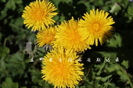 在哪里查信用逾期记录