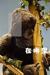 在哪里查询公司逾期贷款 在哪里查询公司逾期贷款