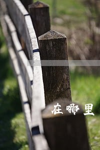 在哪里查询有没有注册商标 在哪里查询有没有注册商标