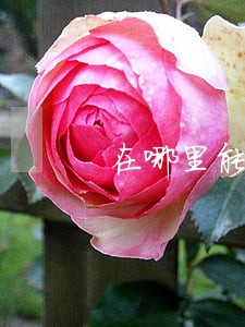 在哪里能找法律援助 在哪里能找法律援助
