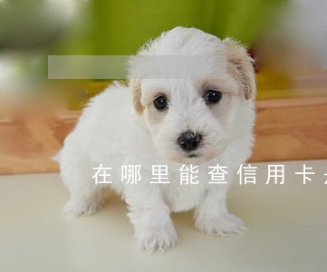 在哪里能查信用卡是否逾期