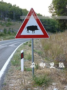 在哪里能看到法律咨询 在哪里能看到法律咨询