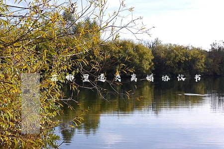 在哪里递交离婚协议书 在哪里递交离婚协议书