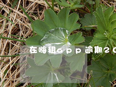 在嗨租app逾期20天没事吧 在嗨租app逾期20天没事吧