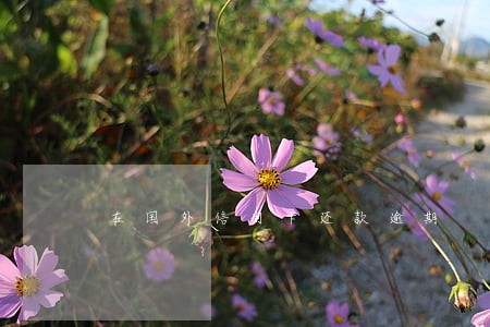 在国外信用卡还款逾期 在国外信用卡还款逾期
