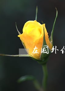 在国外信用卡逾期了是怎么处理的 在国外信用卡逾期了是怎么处理的