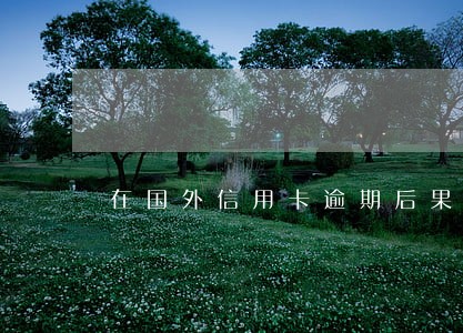 在国外信用卡逾期后果