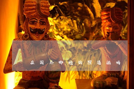 在国外哪枪拍照违法吗