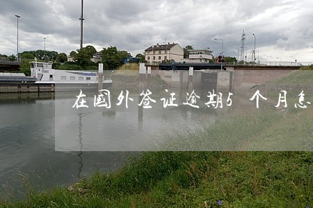 在国外签证逾期5个月怎么办 在国外签证逾期5个月怎么办