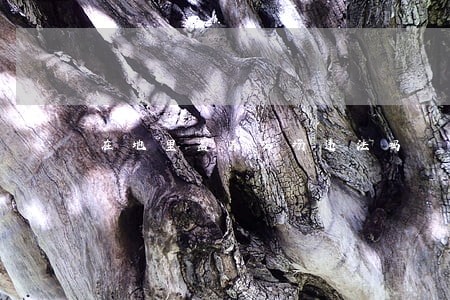 在地里盖养鸡场违法吗 在地里盖养鸡场违法吗