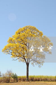 在坐牢信用卡逾期