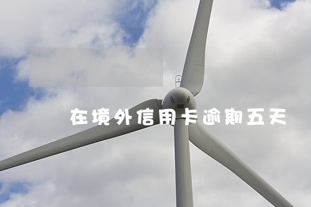 在境外信用卡逾期五天 在境外信用卡逾期五天