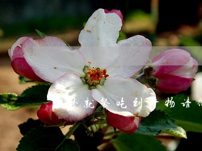 在外就餐吃到异物请律师要多少钱 在外就餐吃到异物请律师要多少钱
