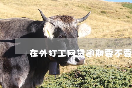 在外打工网贷逾期要不要跟父母说 在外打工网贷逾期要不要跟父母说