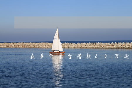 在多个平台借款20万逾期 在多个平台借款20万逾期