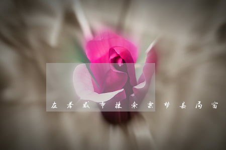 在孝感市搜索云梦县局窗帘 在孝感市搜索云梦县局窗帘