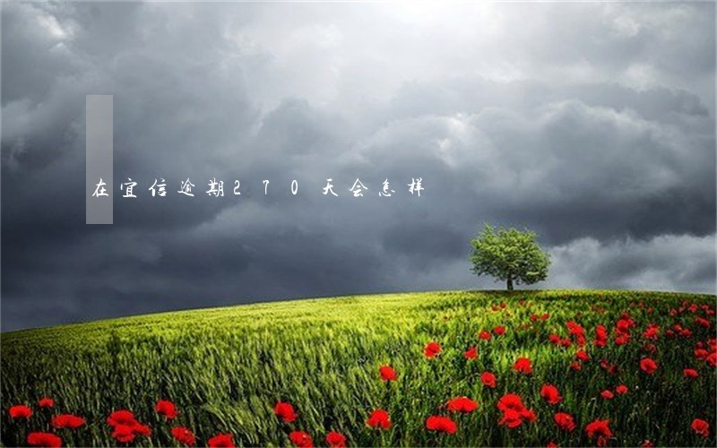 在宜信逾期270天会怎样 在宜信逾期270天会怎样
